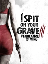 I Spit on Your Grave III (2015) WEB-DL 480p | 720p | 1080p