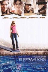 Sleepwalking (2008) BluRay x264 AVC AAC 1080p
