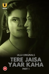 Tere Jaisa Yaar Kaha (Season 1) (2023) WEB-DL 720p | 1080p