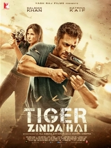 Tiger Zinda Hai (2017) WEB-DL 480p | 720p | 1080p