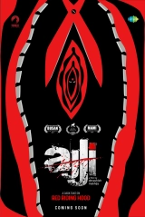 Ajji (2017) WEB-DL 480p | 720p | 1080p
