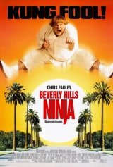 Beverly Hills Ninja (1997) BluRay X264 AVC 480p | 720p | 1080p