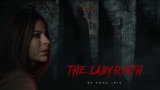 The Labyrinth (2022) WEB-DL 480p | 720p | 1080p